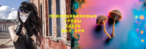 гидропоника Аркадак
