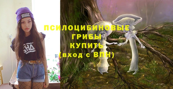 ГАЛЛЮЦИНОГЕННЫЕ ГРИБЫ Армянск