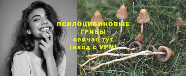 ГАЛЛЮЦИНОГЕННЫЕ ГРИБЫ Армянск