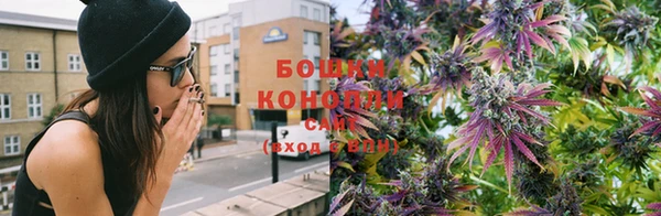 ГАЛЛЮЦИНОГЕННЫЕ ГРИБЫ Армянск